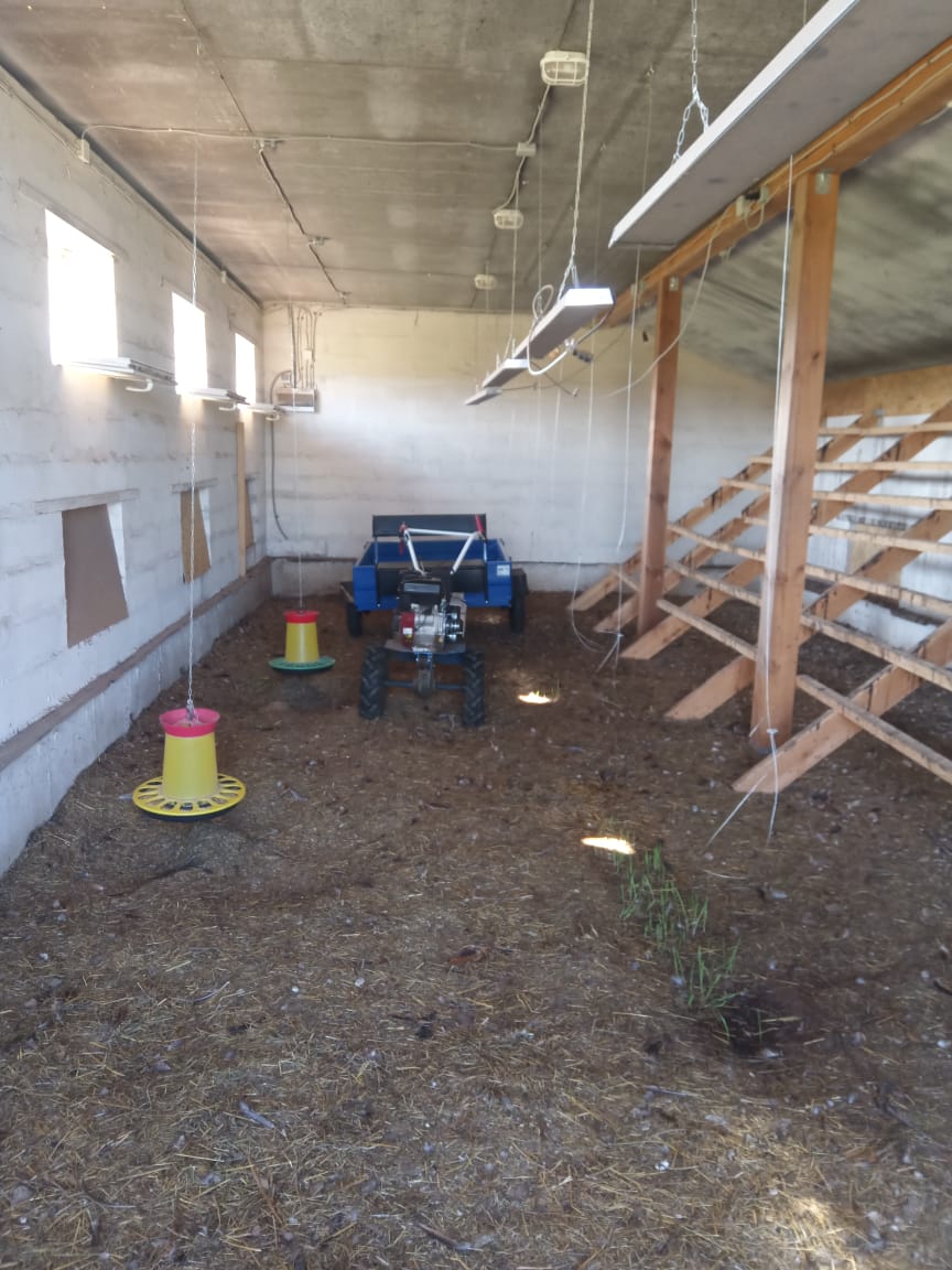 Уборка птичника