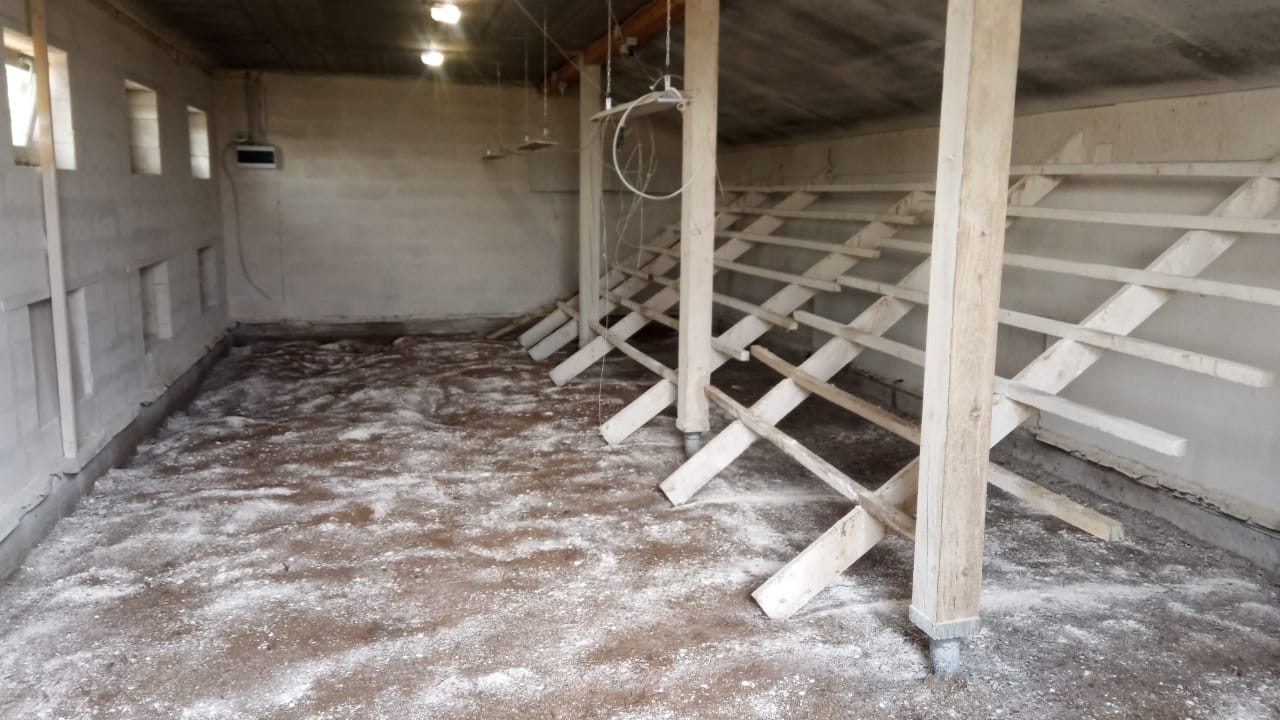 Чистый птичник