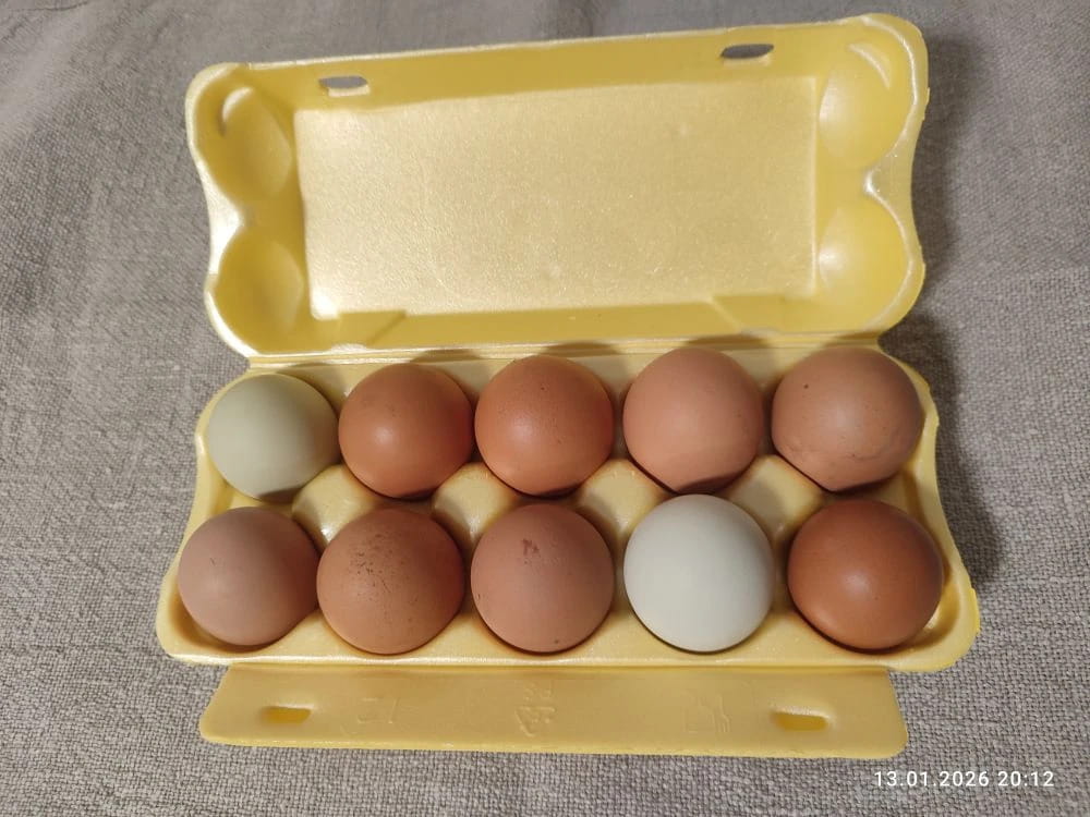 Яйцо куриное категории С1-С0