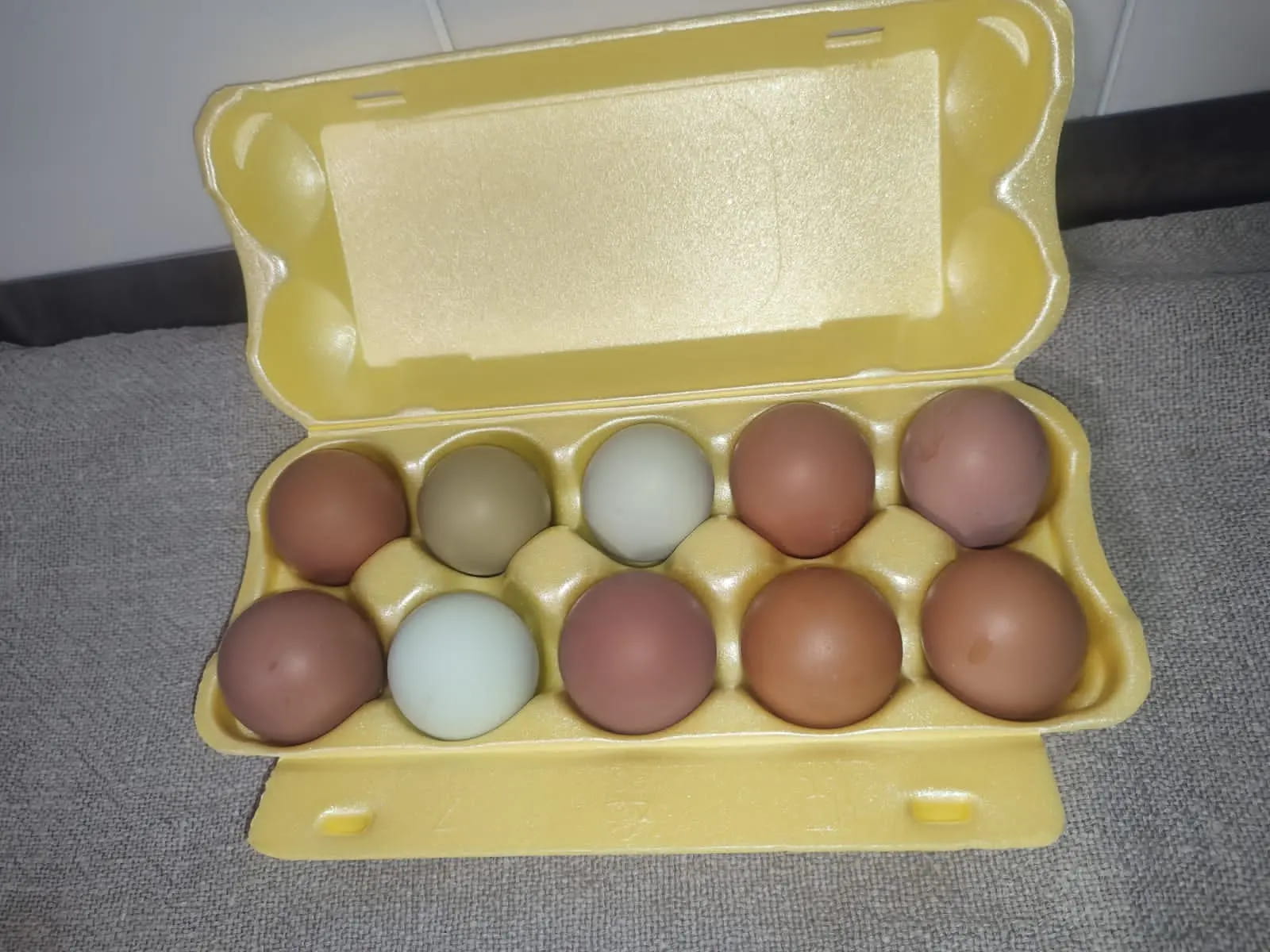 Яйцо куриное от кур молодок